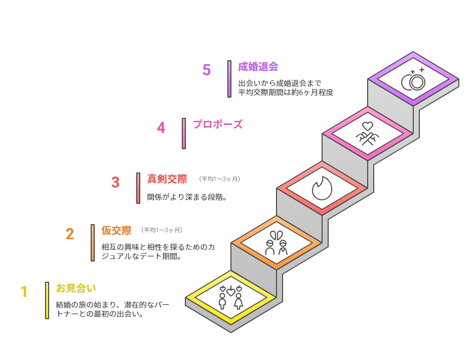 下記フローチャートの図解  お見合い
　↓
仮交際（平均1〜3ヶ月）
　↓
真剣交際（平均1〜3ヶ月）
　↓
プロポーズ
　↓
成婚退会（合計約6ヶ月が一般的）